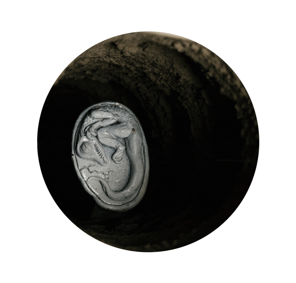 Detail from TASE'24 graduation exhibition by Zody Burke for Trickster Magazine