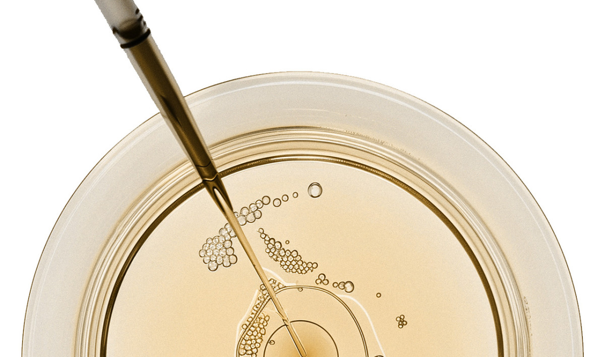 Shumi extract by Hannes Unt for Trickster Magazine