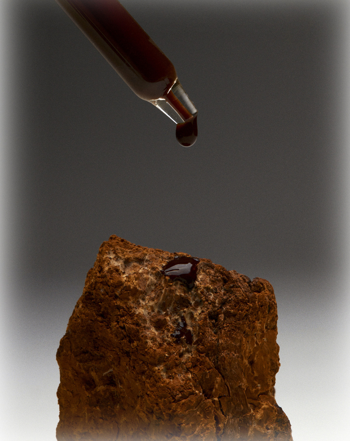 Shumi extract by Hannes Unt for Trickster Magazine