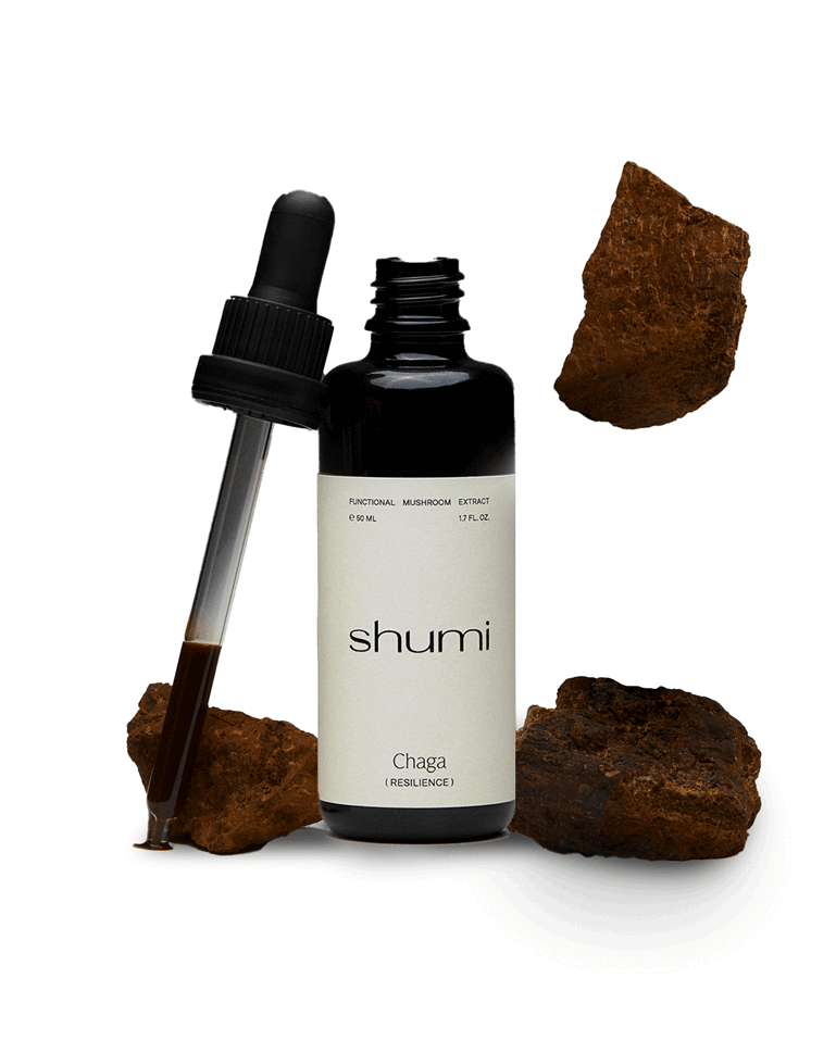Shumi Chaga Extract by Hannes Unt for Trickster Magazine